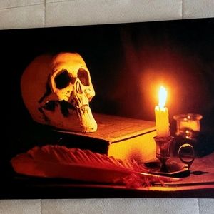 BN Light Up Skull wall Decor